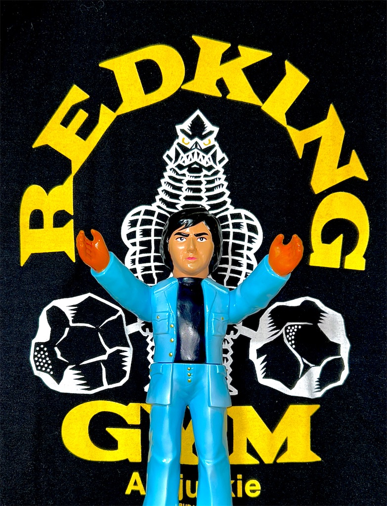 f:id:albireo710:20250331104612j:image