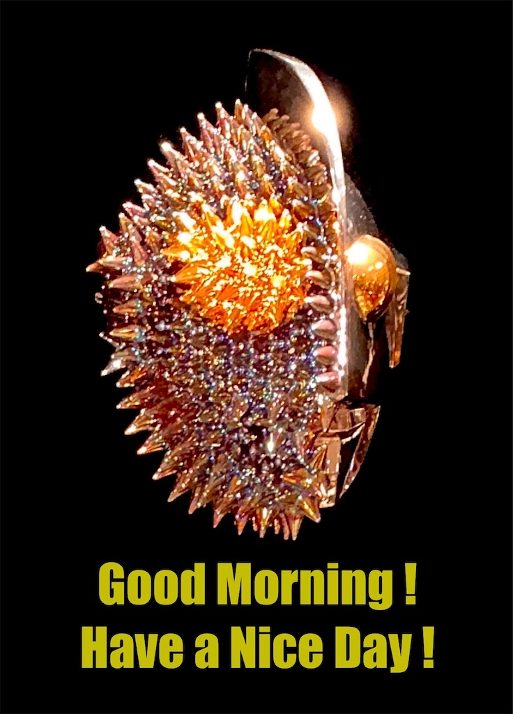 f:id:albireo710:20250630090428j:image