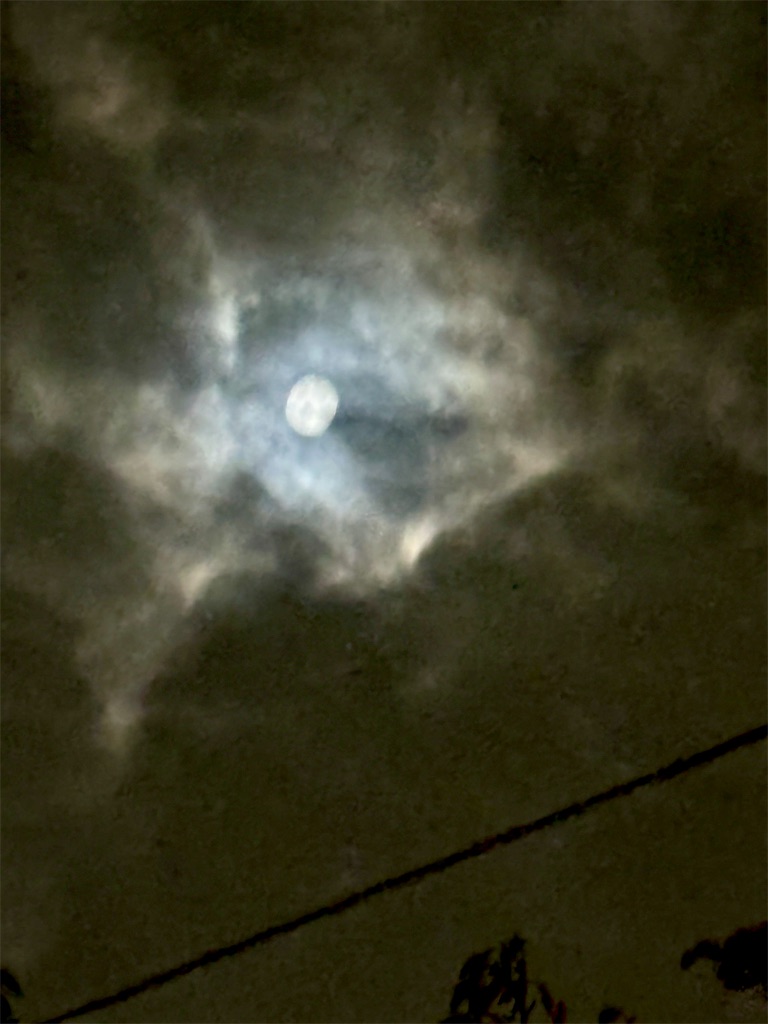 f:id:albireo710:20251006201732j:image