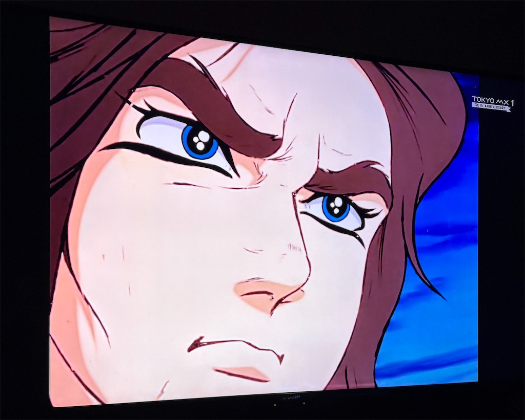 f:id:albireo710:20251202000221j:image f:id:albireo710:20251202000221j:image