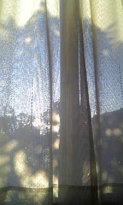 daybreak 01