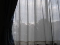 20090328171550
