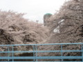 20090412235254