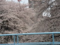 20090412235255
