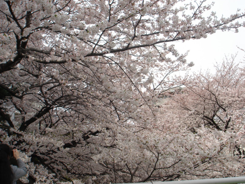 20090412235256