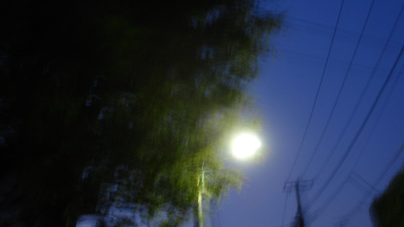 20090412235300