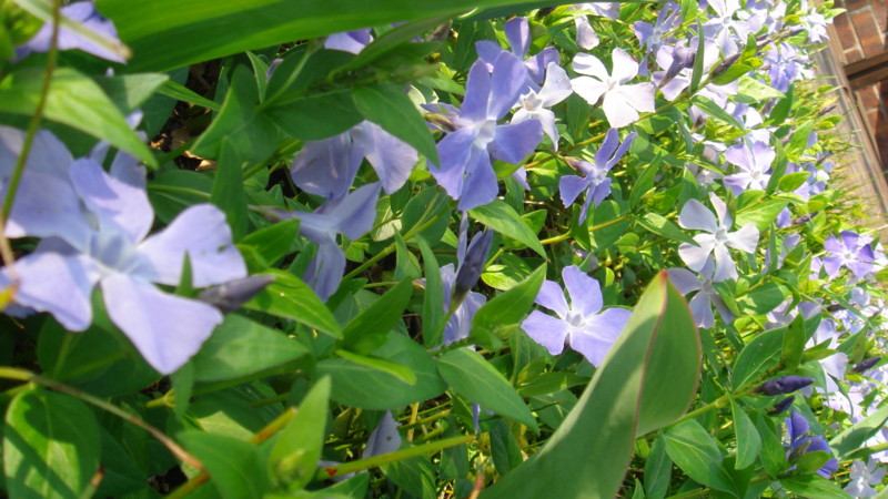 20090412235309
