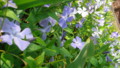 20090412235309