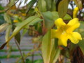 20090421213638
