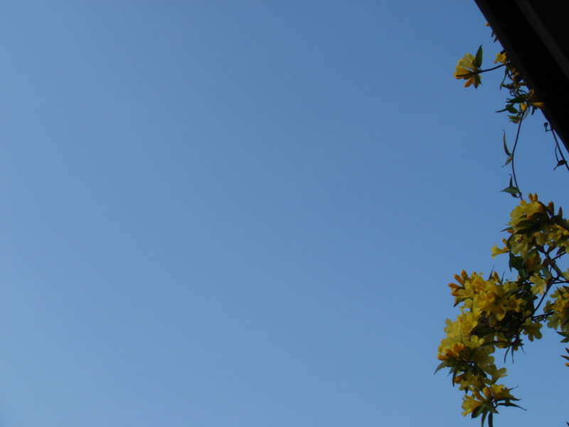 20090421213645