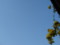 20090421213645