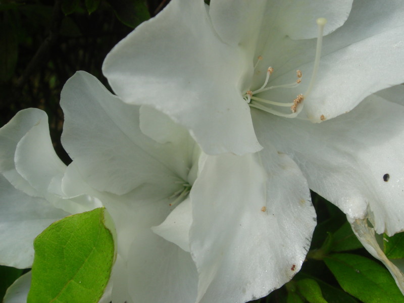 20090509171814