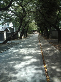 10/9/2009 池袋