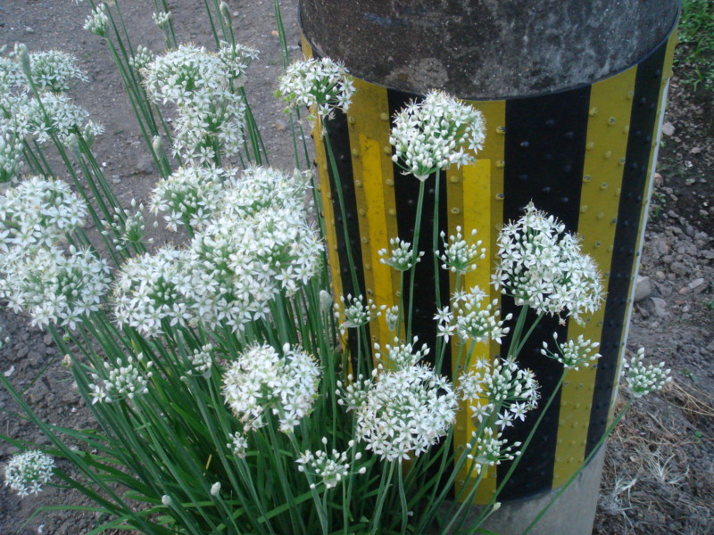 20090923012703