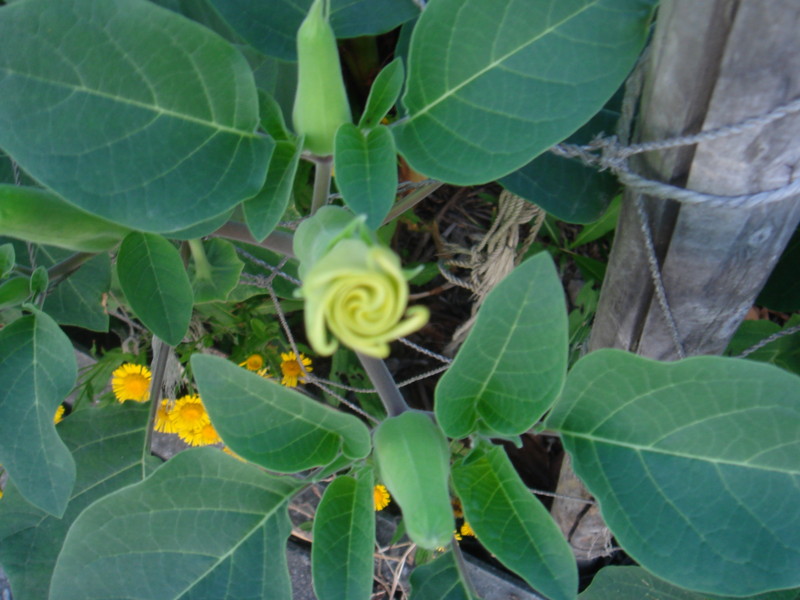 20090923012711