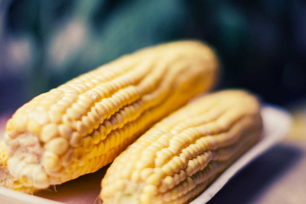 Cornにギクッ 英語か米語か意識しないとへんてこな翻訳に English Journal Online Cornにギクッ 英語か米語か意識しないとへんてこな翻訳に English Journal Online