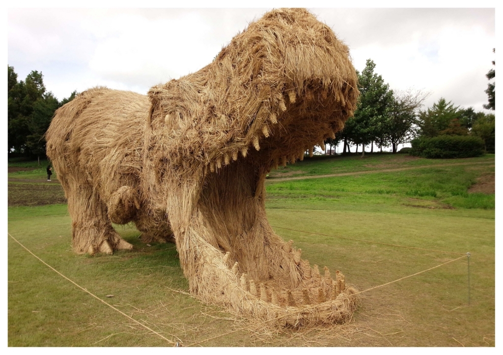 新潟県 絶景の棚田からマンガまで 幅広い魅力を持った新潟を英語でご紹介 English Journal Online