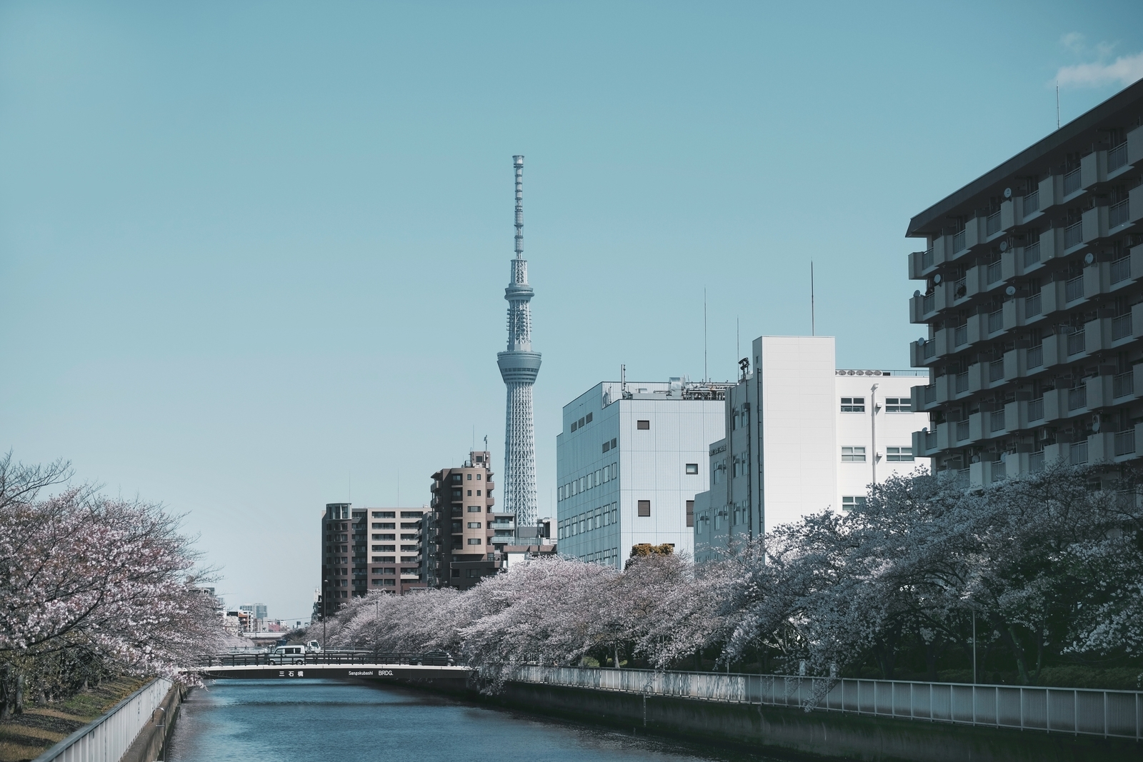f:id:alc_gotcha:20190713154539j:plain f:id:alc_gotcha:20190713154539j:plain