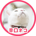 f:id:alc_nakosan:20160721104804p:plain f:id:alc_nakosan:20160721104804p:plain