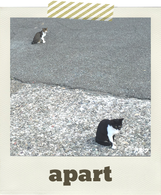 離れて座る Sit Apart の例文 ネコ英語 English Journal Online 離れて座る Sit Apart の例文 ネコ英語 English Journal Online