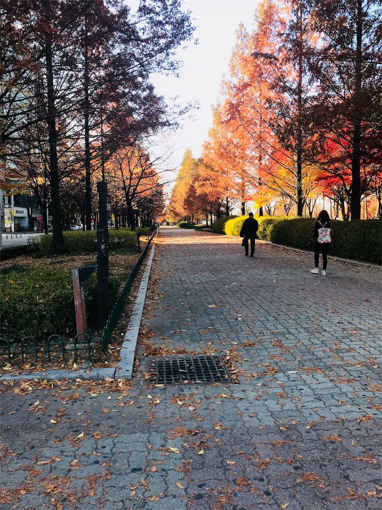 f:id:alcaliyyytkg:20171213190255j:image f:id:alcaliyyytkg:20171213190255j:image