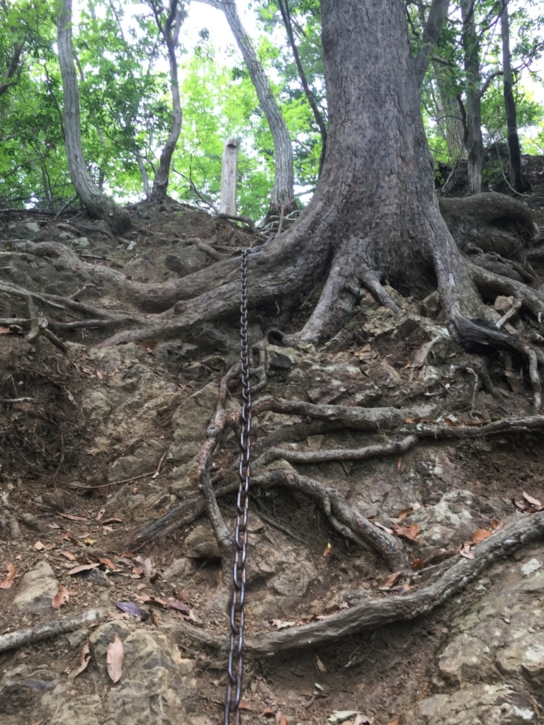 f:id:alcedist:20180610141822j:plain f:id:alcedist:20180610141822j:plain