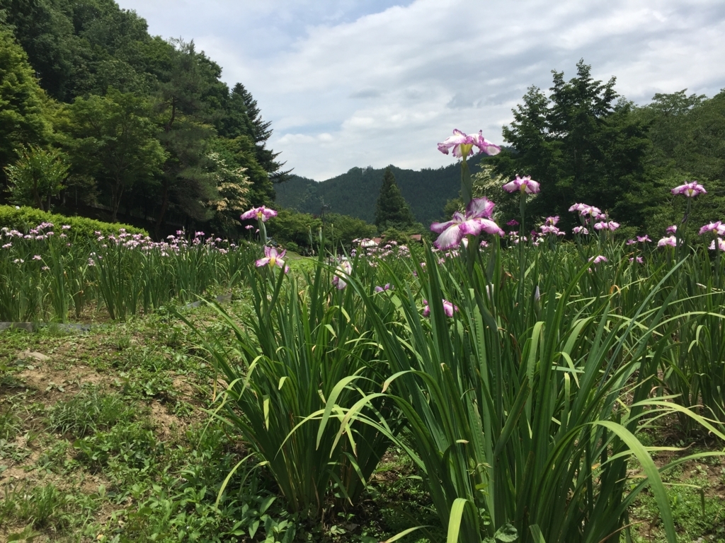 f:id:alcedist:20180610141852j:plain f:id:alcedist:20180610141852j:plain