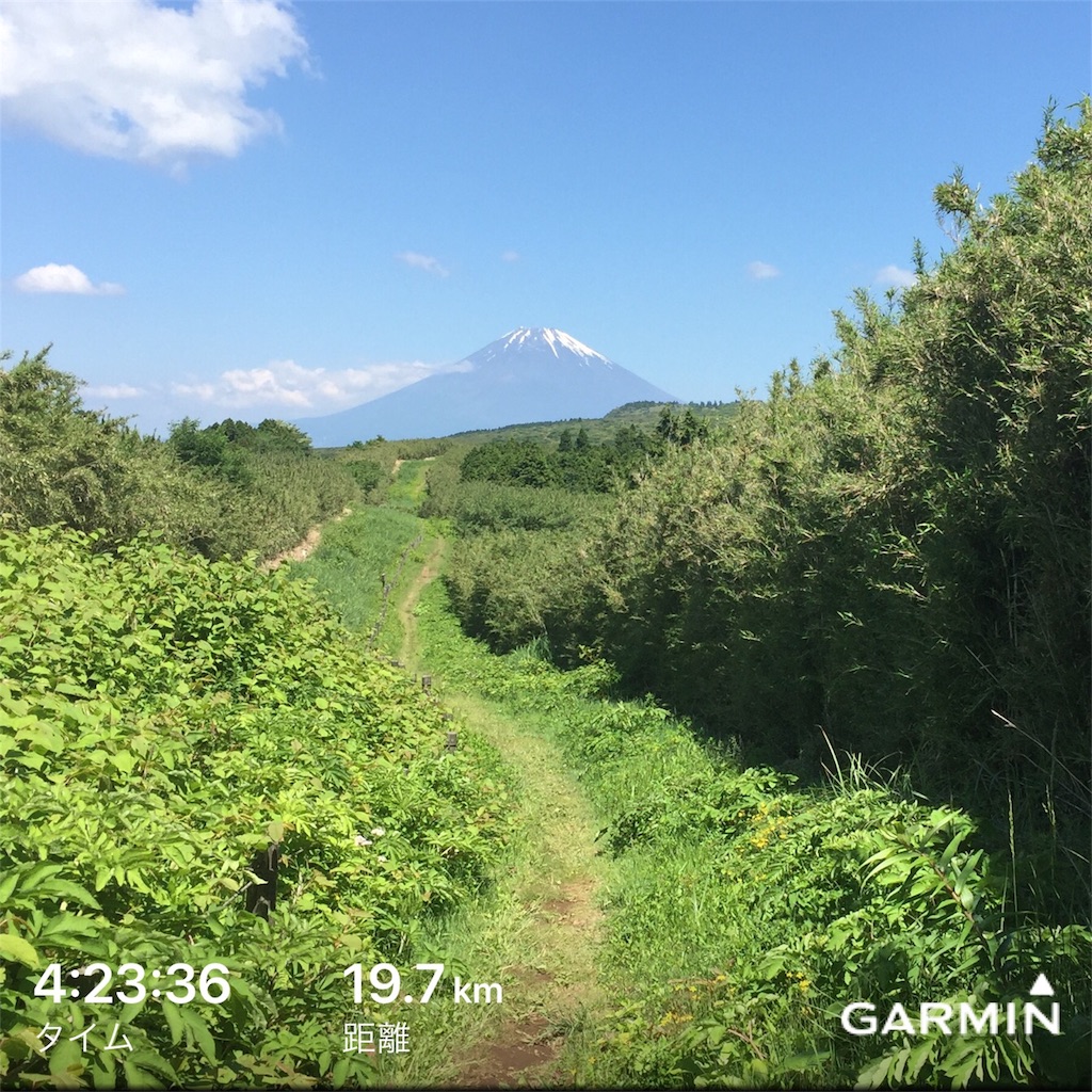 f:id:alcedist:20180613111943j:image f:id:alcedist:20180613111943j:image