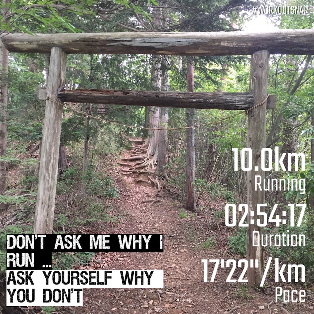 f:id:alcedist:20180613120821j:image f:id:alcedist:20180613120821j:image