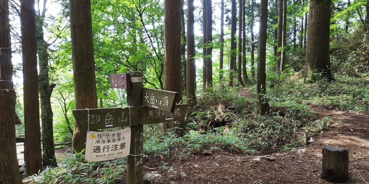 f:id:alcedist:20190827120128j:plain f:id:alcedist:20190827120128j:plain