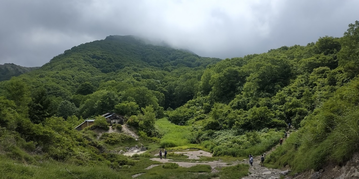 f:id:alcedist:20190828115625j:plain f:id:alcedist:20190828115625j:plain