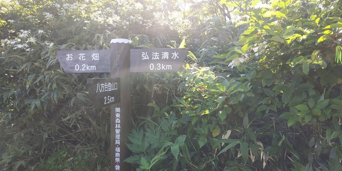 f:id:alcedist:20190828115727j:plain f:id:alcedist:20190828115727j:plain
