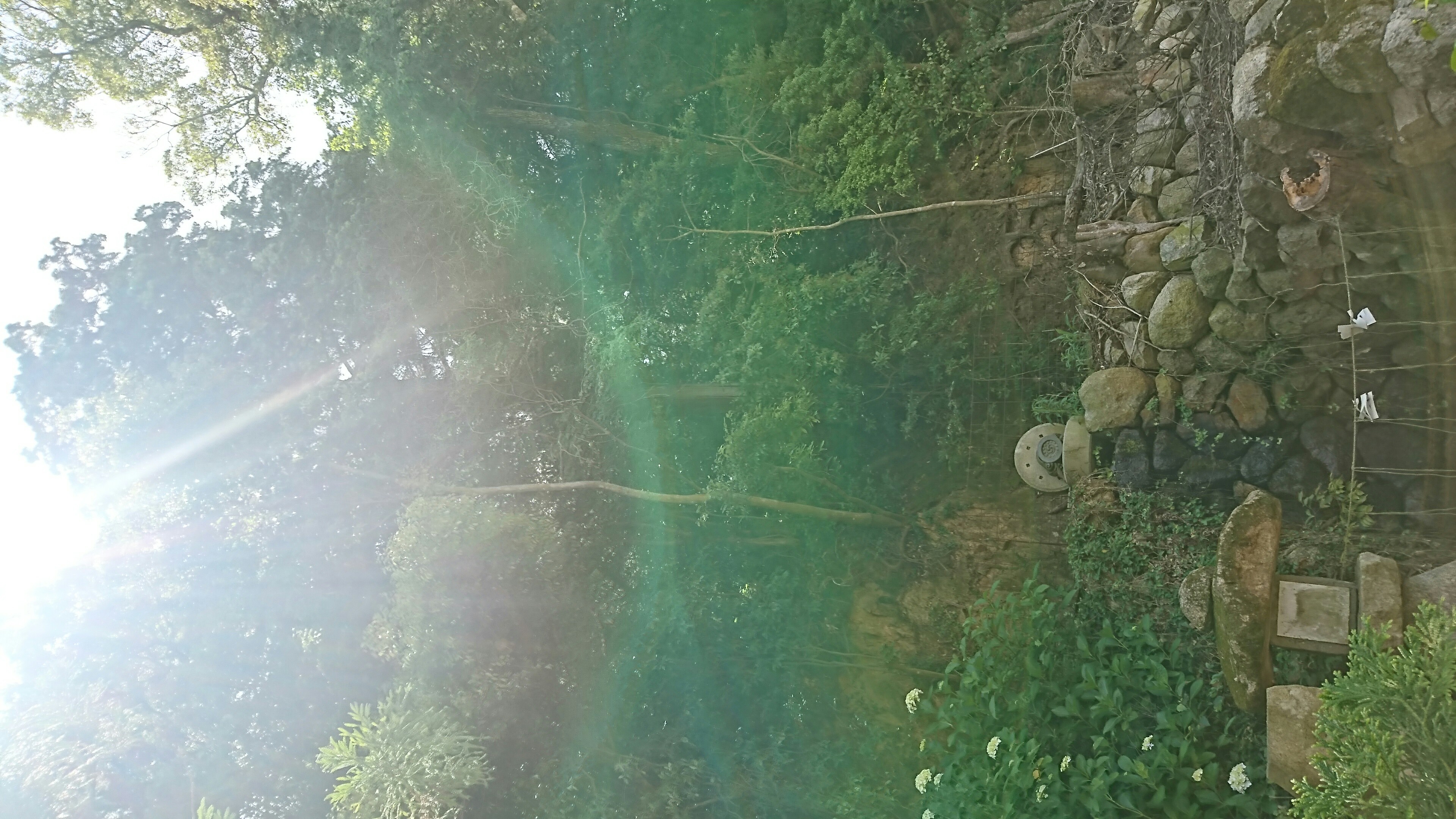 f:id:alchemist8738:20180703190437j:image