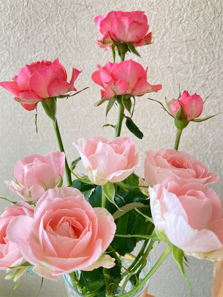 f:id:alchemist8738:20221229211302j:image