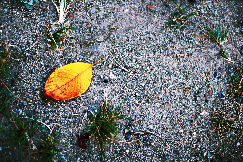 20090914182441