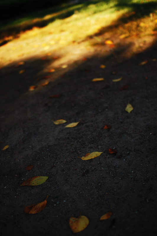 20091012181154