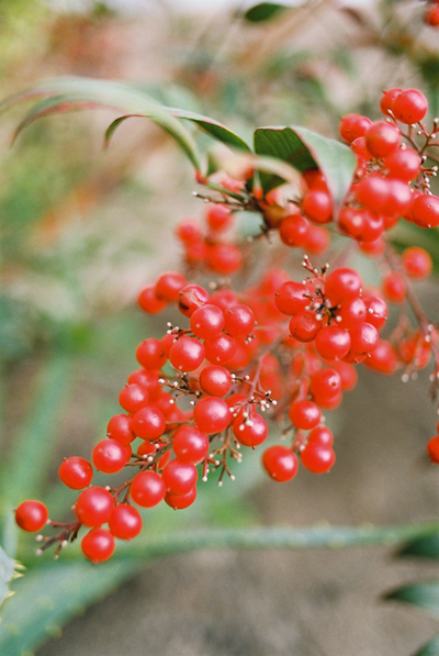 20091213014350