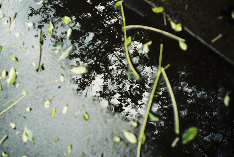 20091219233844