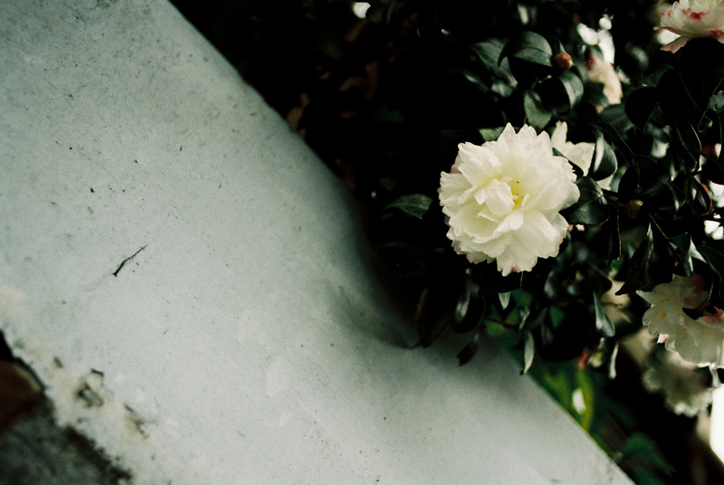 20100105190634