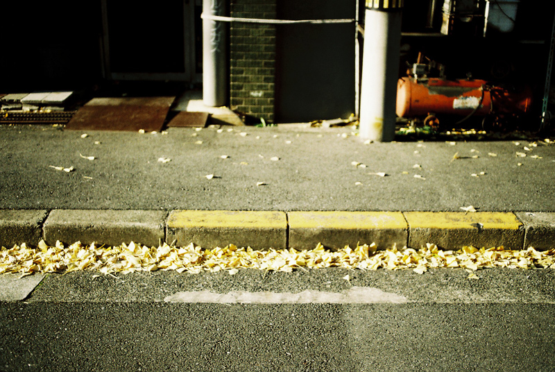20100212183903