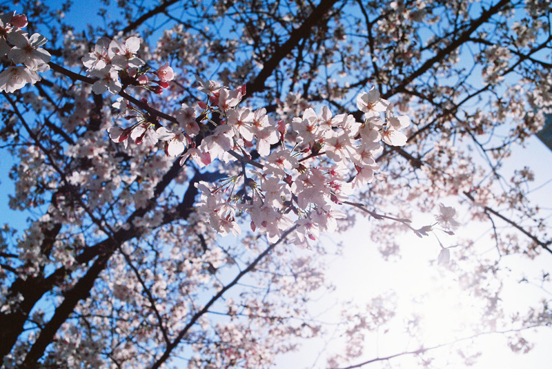 20100408183418