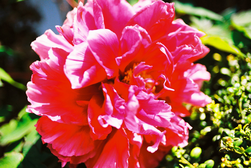 20100717155333