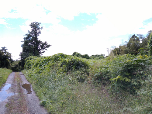 f:id:aldertree:20170907230339j:plain f:id:aldertree:20170907230339j:plain