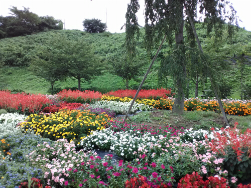 f:id:aldertree:20180908224354j:plain f:id:aldertree:20180908224354j:plain