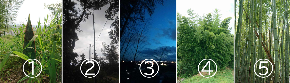 f:id:aldertree:20200819215323j:plain f:id:aldertree:20200819215323j:plain