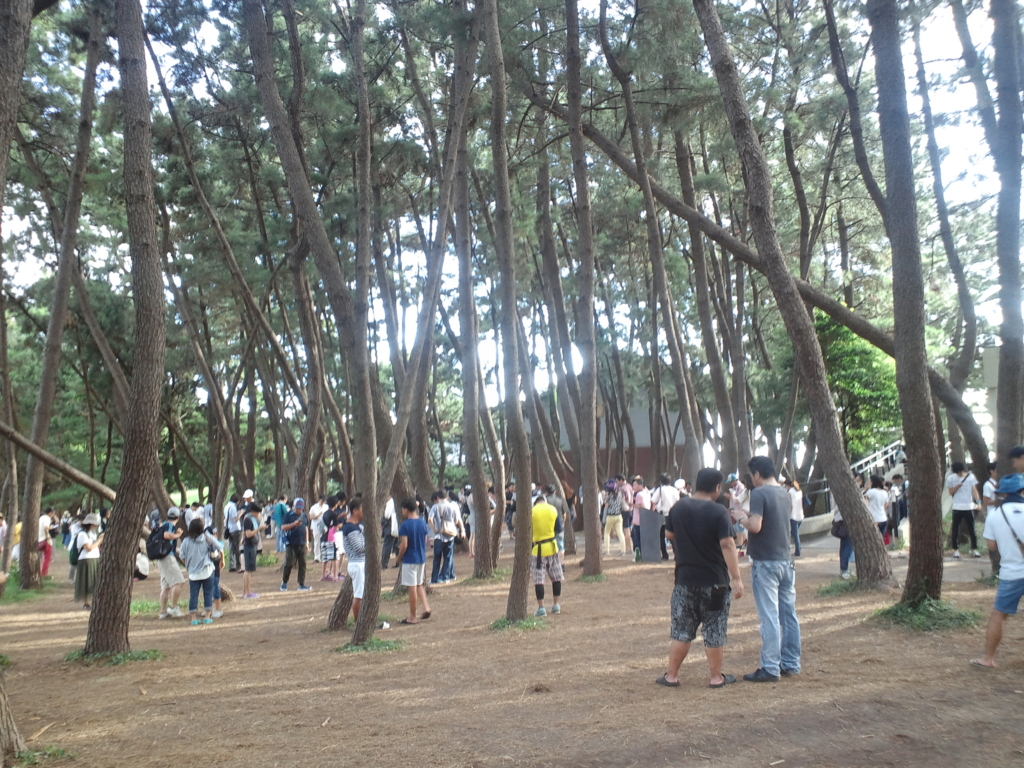 f:id:alegruntokai:20160823004455j:plain f:id:alegruntokai:20160823004455j:plain