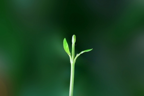 f:id:alegruntokai:20161230162732j:plain f:id:alegruntokai:20161230162732j:plain