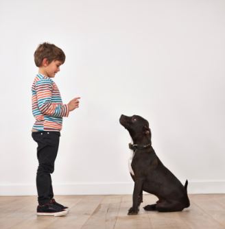 f:id:alegruntokai:20170215160602j:plain