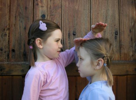 f:id:alegruntokai:20170215170059j:plain