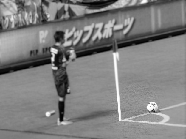 f:id:alegruntokai:20170723080128j:plain f:id:alegruntokai:20170723080128j:plain